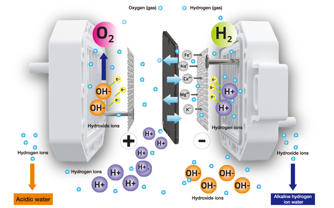 RO electrolysis hydrogen water purifier